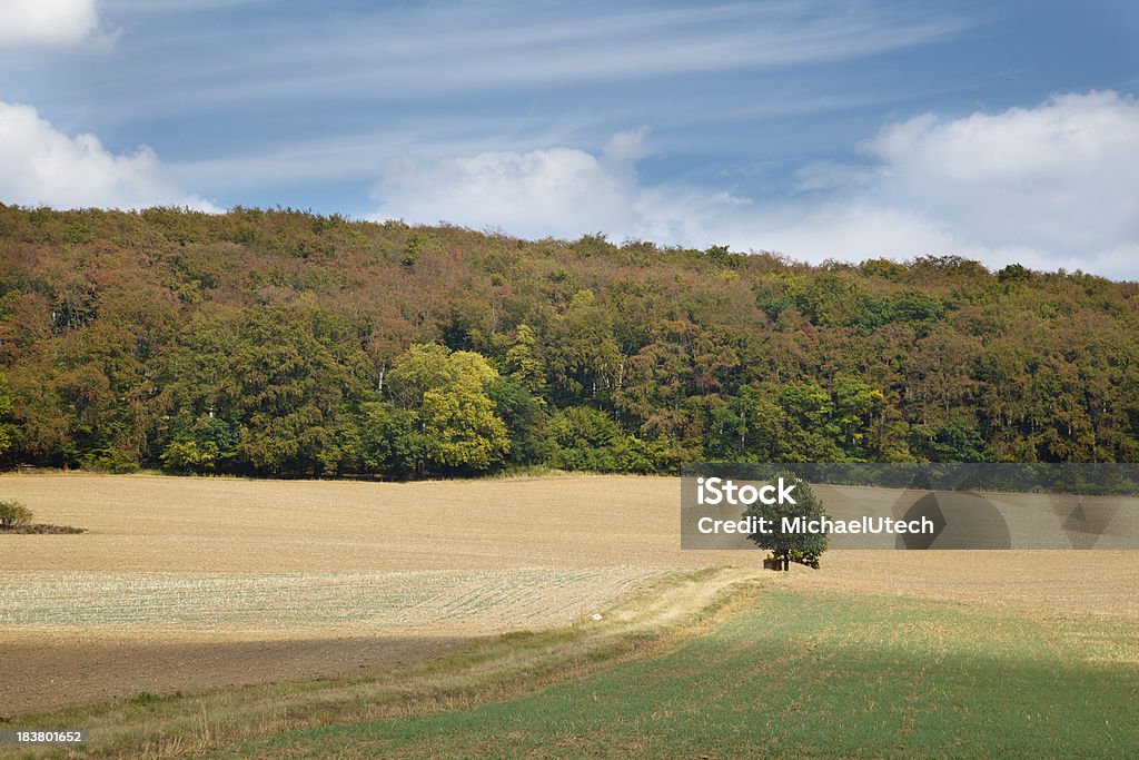 Paesaggio agricolo Hill - Foto stock royalty-free di Agricoltura