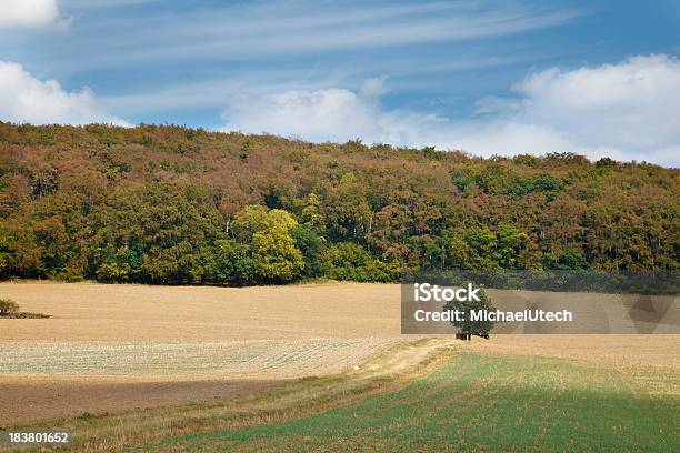 Paesaggio Agricolo Hill - Fotografie stock e altre immagini di Agricoltura - Agricoltura, Albero, Ambientazione esterna