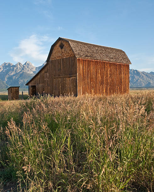 Thomas Murphy Barn in the Early Morning Nothing speaks of rural America like an old barn. Sadly, many of these wooden relics have fallen into disrepair or simply disappeared. The few still remaining remind us of a time when small farms produced most of the food we eat. The historic Thomas Murphy barn sits on Mormon Row in Grand Teton National Park near Jackson, Wyoming, USA. jeff goulden agriculture stock pictures, royalty-free photos & images