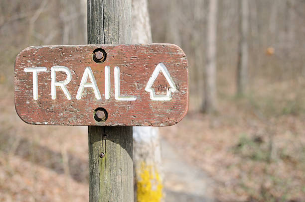 istock Trail sign with arrow in woods 183801826