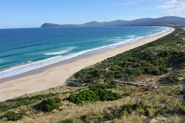 istock Bruny Island in Tasmania 183801939
