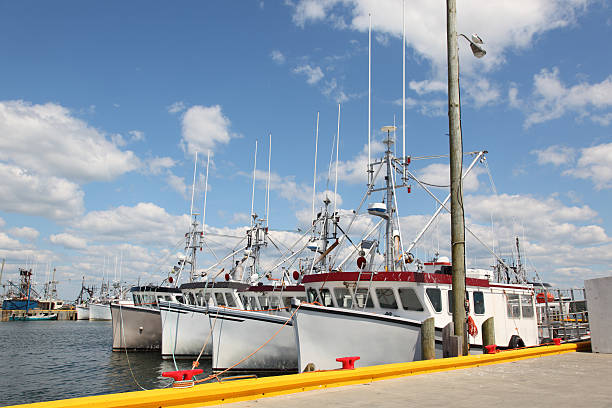 istock fishing boats 183802660