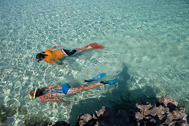 istock Snorkeling Couple 183802724