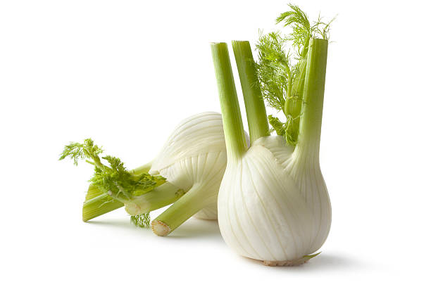 Vegetables: Fennel Isolated on White Background More Photos like this here... fennel stock pictures, royalty-free photos & images