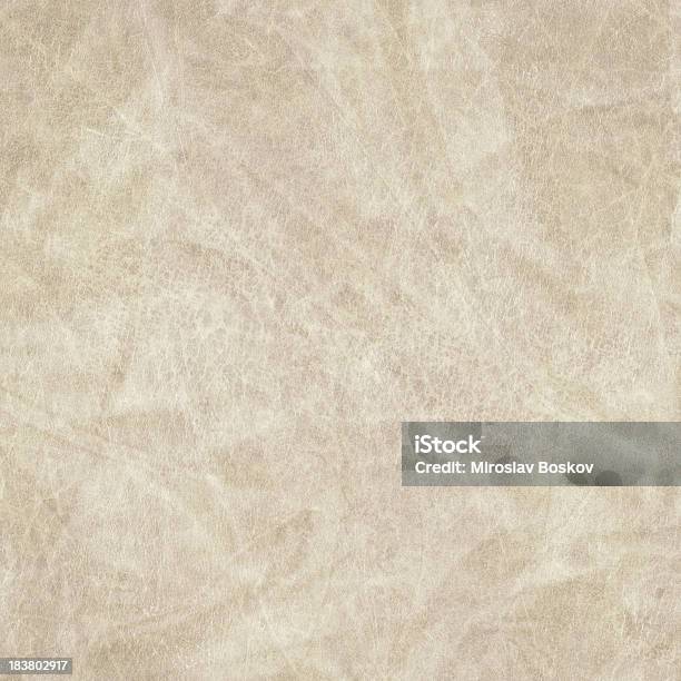 High Resolution Animal Skin Parchment Grunge Texture Stock Photo - Download Image Now