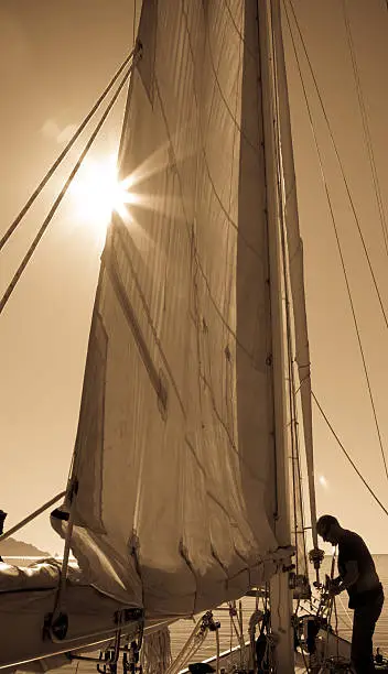 Photo of Sailing in the sunlight