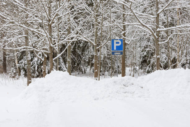 istock bus parking near a forest in winter 1838033279