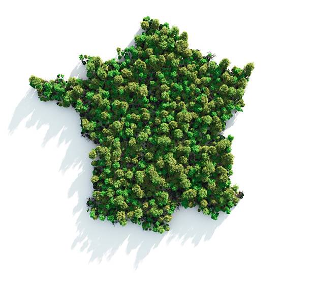 istock Green France 183803440