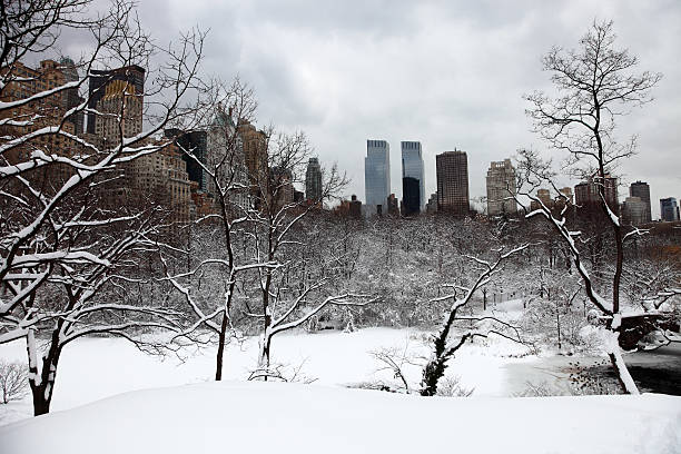 istock Winter in New York City 183804251
