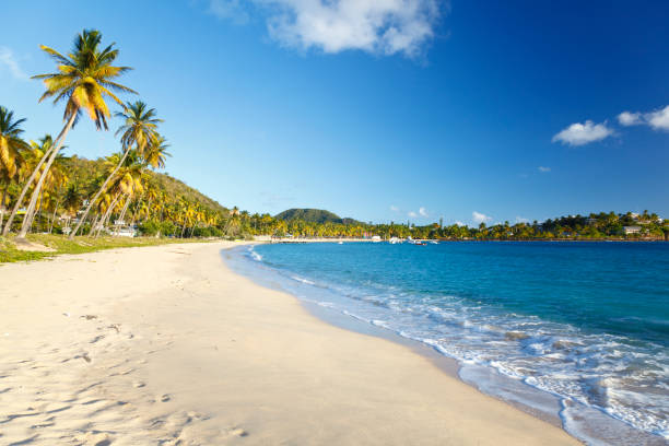 Perfect Caribbean Beach stock photo