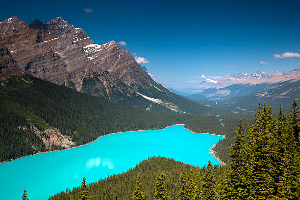 istock Peyto Lake, Banff National Park 183804363