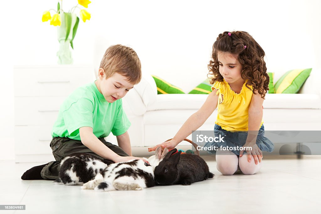 Kinder spielt mit Kaninchen - Lizenzfrei Blume Stock-Foto