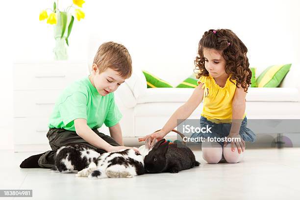 Bambini Che Giocano Con Conigli - Fotografie stock e altre immagini di Affettuoso - Affettuoso, Allegro, Ambientazione interna