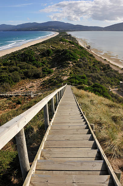 istock Bruny Island in Tasmania 183804996