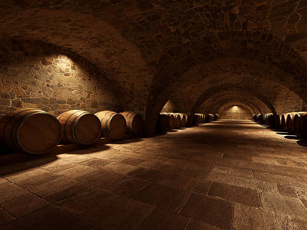 cave à vin - aging process french culture winemaking next to photos et images de collection