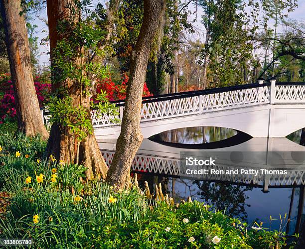 White Bridge Crosses Water In South Carolina Garden Stock Photo - Download Image Now