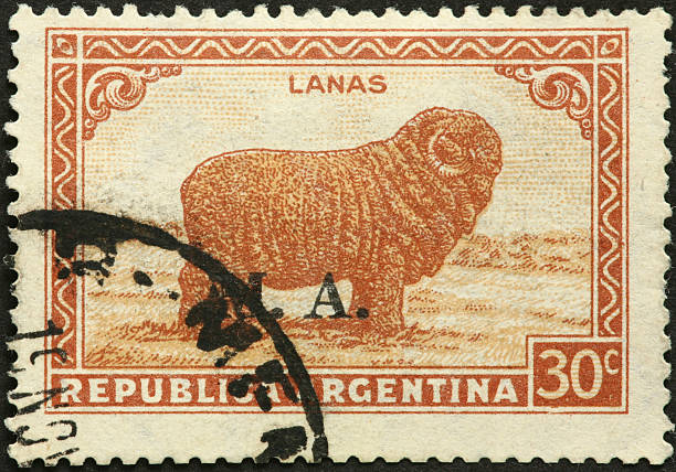 istock large wooly Argentine sheep on an old postage stamp 183805832
