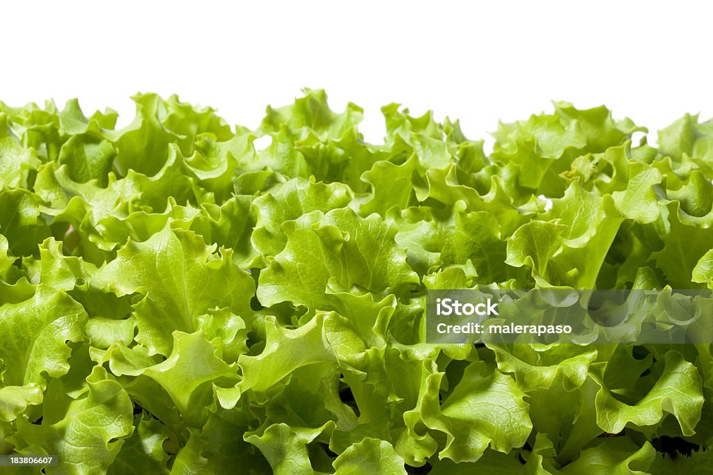 Salada verde - Royalty-free Alface Foto de stock