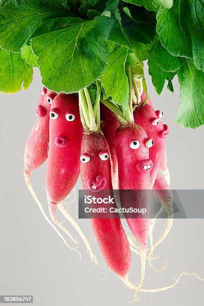 Radishes Портрет — стоковые фотографии и другие картинки Редис - Редис, Веселье, Розовый