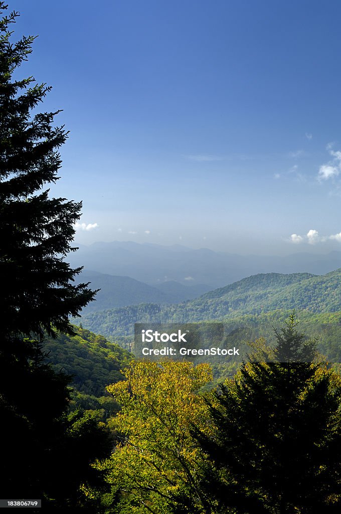 Parque nacional Blue Ridge Parkway otoño vista panorámica, Carolina del Norte, EE. UU. - Foto de stock de Montañas Blue Ridge libre de derechos
