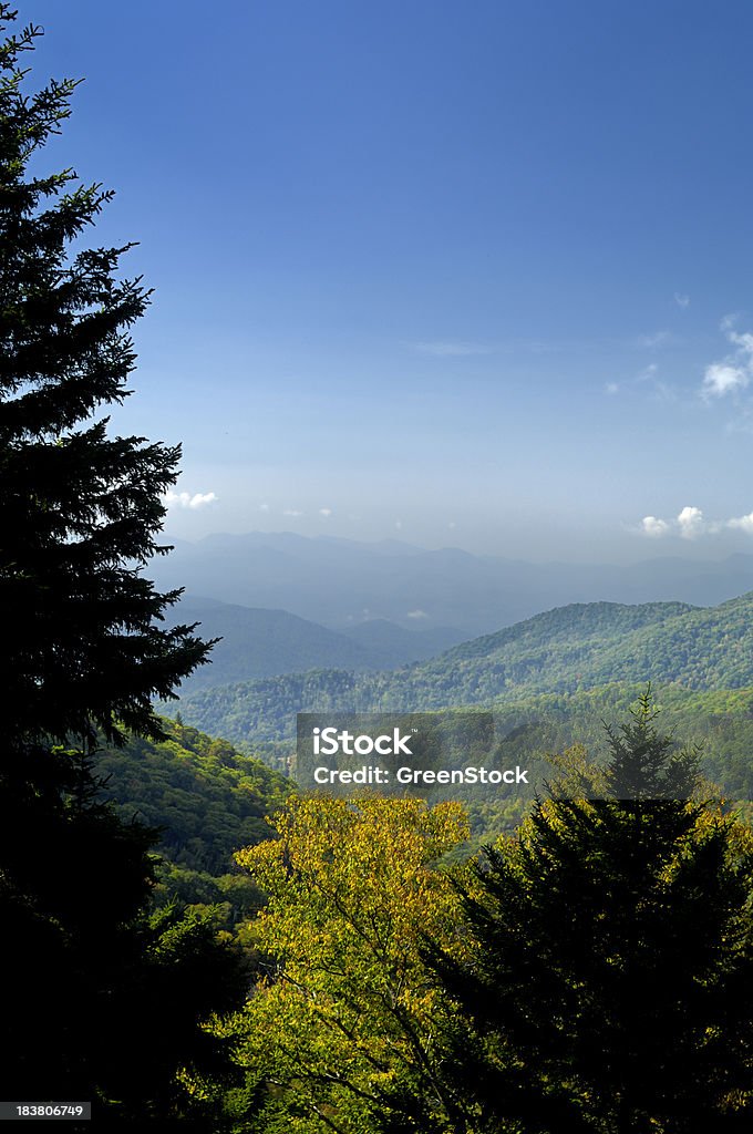 Parque Nacional de Blue Ridge Parkway outono vista panorâmica, NC, EUA - Foto de stock de Montanhas Blue Ridge royalty-free