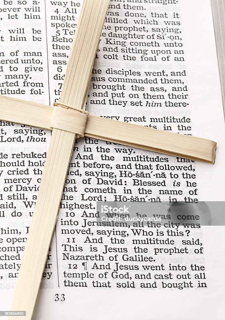 Palm Cross et ouvert Bible - Photo de Bible libre de droits