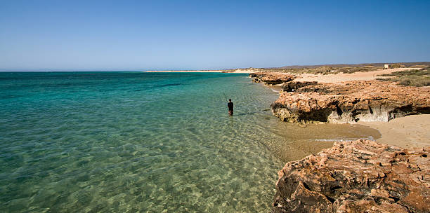 Osprey Bay Fisherman "A lone fisherman at Osprey Bay fishing thd crystal clear waters of Western Australia's famous Ningaloo Reef.  Ningaloo Reef is one of the best diving locations in the southern Hemisphere, famous for its Whale Sharks and Manta Rays." ningaloo reef stock pictures, royalty-free photos & images