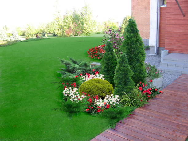 Nature scene and green design features 3D illustration