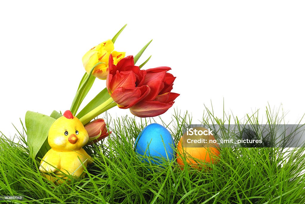 Tulipani, pollo e uova di Pasqua - Foto stock royalty-free di Animale