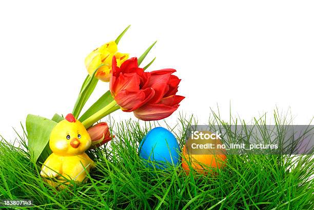 Tulipani Pollo E Uova Di Pasqua - Fotografie stock e altre immagini di Animale - Animale, Arancione, Bianco