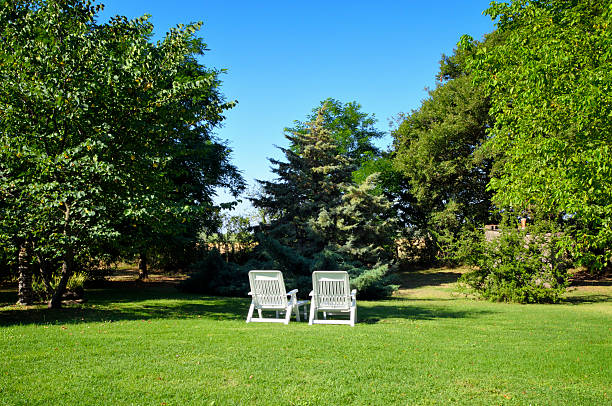 istock Two chairs in a lush garden 183807232