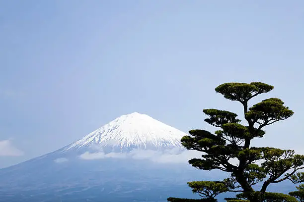 Photo of Mt Fuji