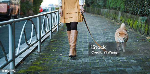Woman Walking Leashed Shibu Inu Dog On Tranquil Cobblestone Path Stock Photo - Download Image Now