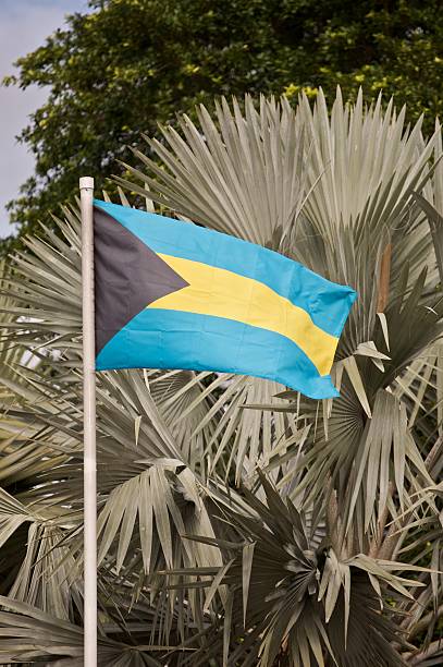 istock flag of bahama 183807578