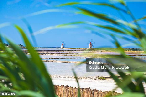 Nectaroscordum Salars - Fotografie stock e altre immagini di Mulino a vento - Mulino a vento, Trapani, Ambientazione esterna