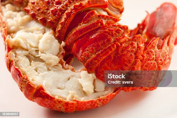 Lobster — стоковые фотографии и другие картинки Белое мясо - Белое мясо, Белый фон, Варёный