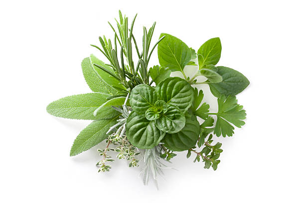 raccolta di erbe aromatiche fresche - cut out flower freshness group of objects foto e immagini stock