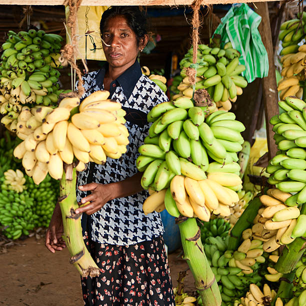 istock Banana seller. Sri Lanka 183808260