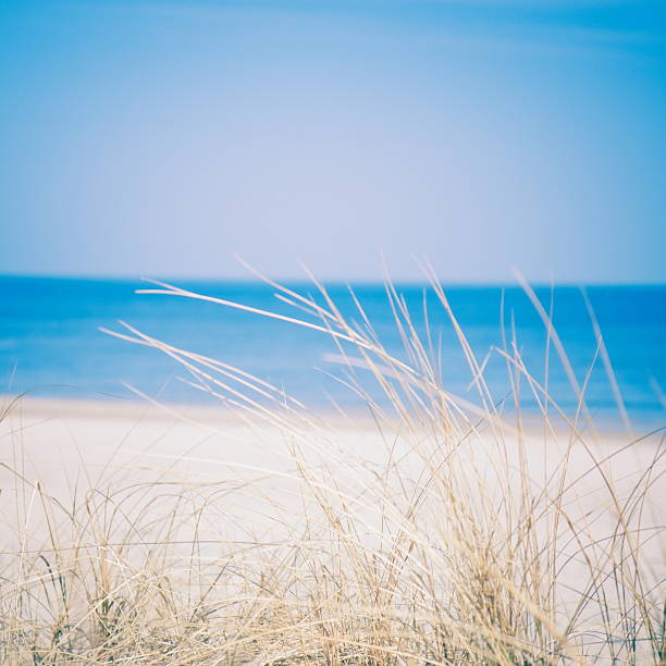 istock Silent beach at the Baltic Sea 183808406