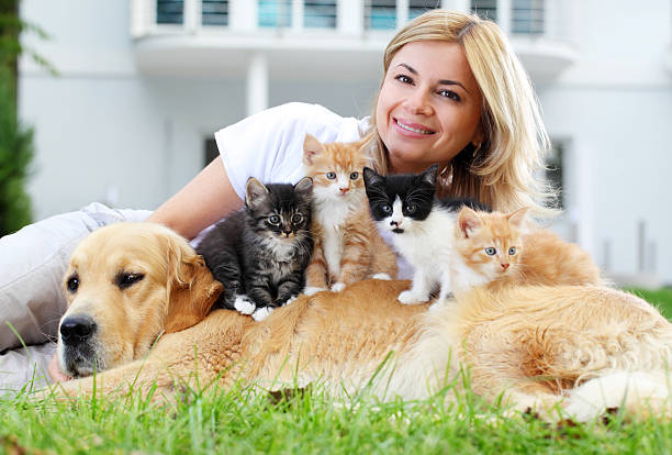 donna con animali domestici a riposo nel giardino verde. - golden retriever friendship white small foto e immagini stock