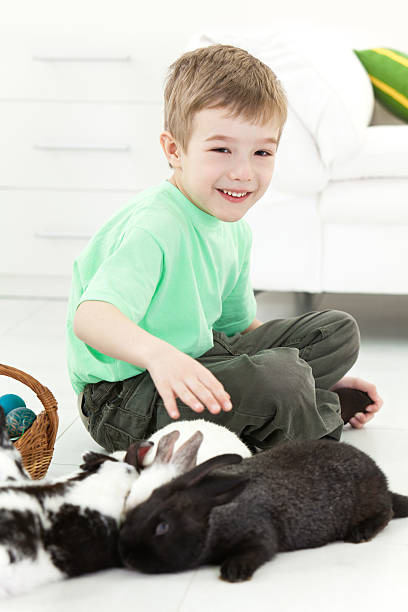 istock Little boy with rabbits and Easter eggs in a basket 183809078