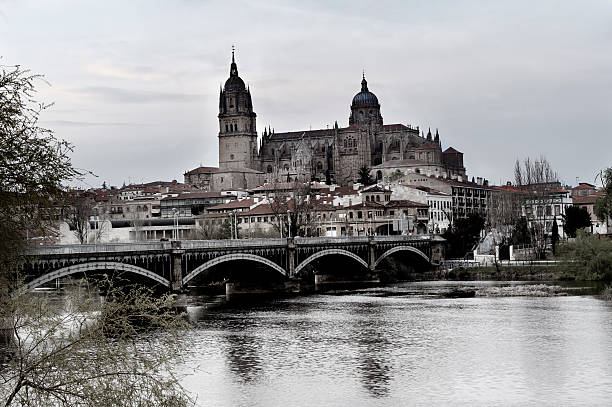 istock Spanish building. Salamanca 183809451