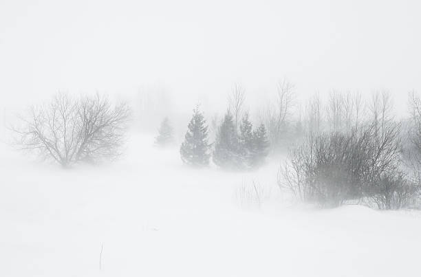 Blizzard. - Photo