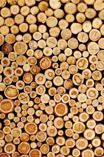Wooden logs piled up in to stacks