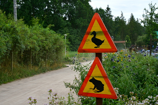 A close up on a set of signs warning against walking ducks and frogs located in the middle of a vast field, meadow, or pastureland, next to some dirt path and a lush forest or moor in Poland