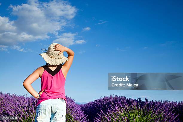 Child At Lavender Fiels Stock Photo - Download Image Now - 8-9 Years, Agricultural Field, Back