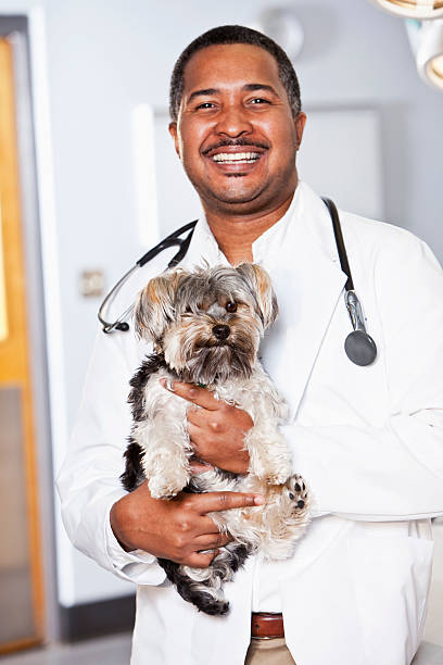 istock African American veterinarian holding dog 183810553