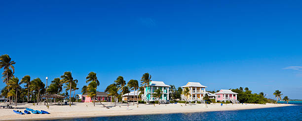 istock Palm Trees and Bungalow on the Beach, Little Cayman 183810610