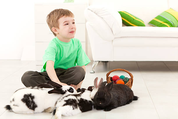 istock Little boy cuddling rabbits on Easter day 183810758