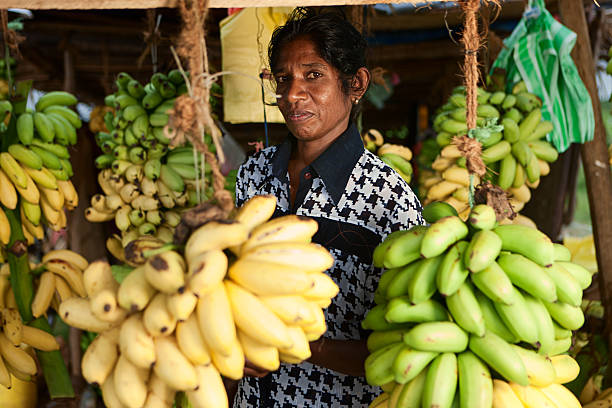 istock Banana seller. Sri Lanka 183810848